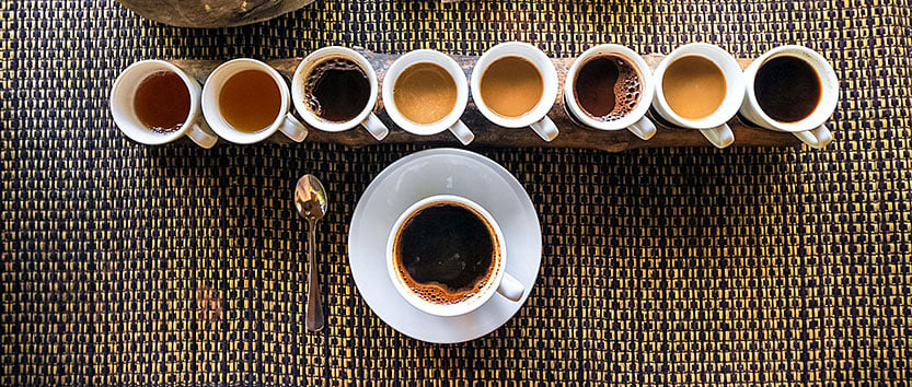 Luwak Coffee Plantation Tour