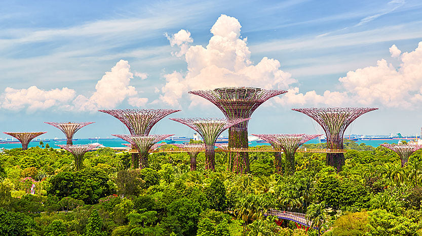 Gardens by the Bay