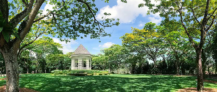 Singapore Botanic Gardens