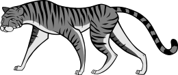 Tigress rate
